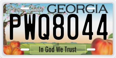GA license plate PWQ8044