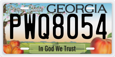 GA license plate PWQ8054