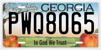 GA license plate PWQ8065
