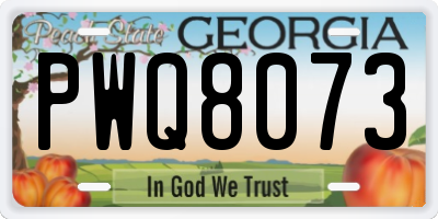 GA license plate PWQ8073
