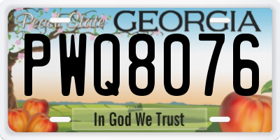 GA license plate PWQ8076