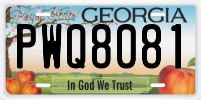 GA license plate PWQ8081