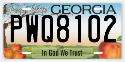 GA license plate PWQ8102