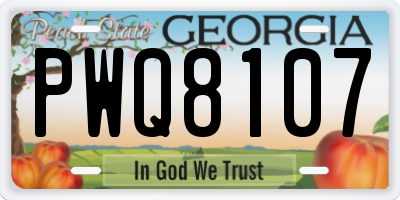 GA license plate PWQ8107