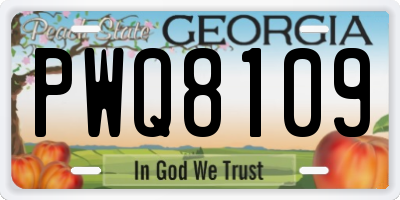 GA license plate PWQ8109