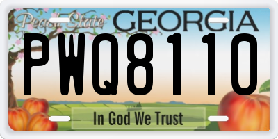 GA license plate PWQ8110