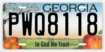 GA license plate PWQ8118