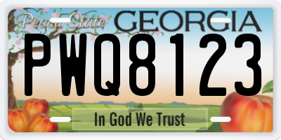 GA license plate PWQ8123