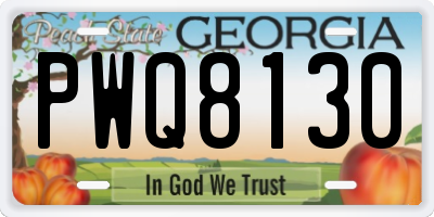 GA license plate PWQ8130