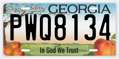 GA license plate PWQ8134