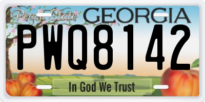 GA license plate PWQ8142