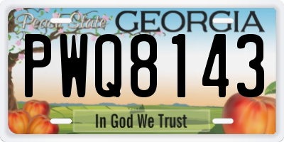 GA license plate PWQ8143