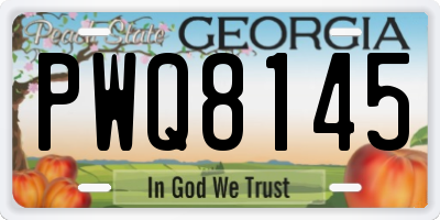 GA license plate PWQ8145