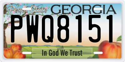 GA license plate PWQ8151