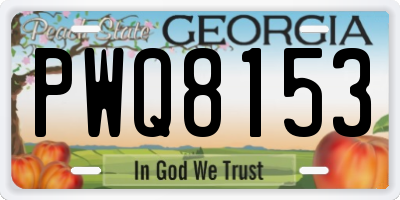 GA license plate PWQ8153