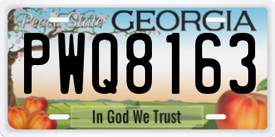 GA license plate PWQ8163