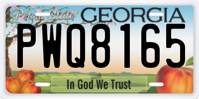GA license plate PWQ8165