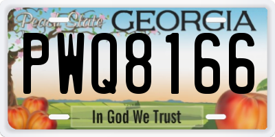 GA license plate PWQ8166