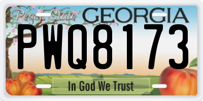 GA license plate PWQ8173