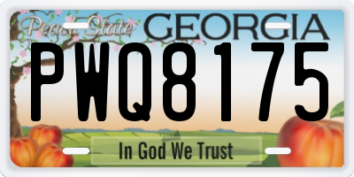GA license plate PWQ8175