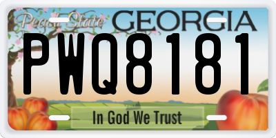 GA license plate PWQ8181