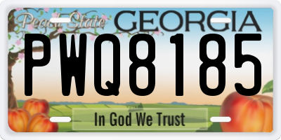 GA license plate PWQ8185