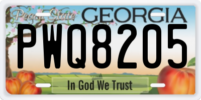 GA license plate PWQ8205