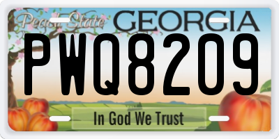 GA license plate PWQ8209