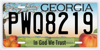 GA license plate PWQ8219