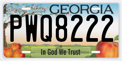 GA license plate PWQ8222