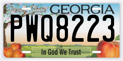 GA license plate PWQ8223