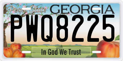 GA license plate PWQ8225