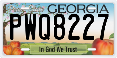 GA license plate PWQ8227
