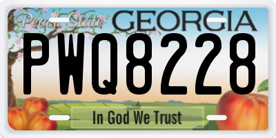 GA license plate PWQ8228