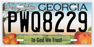GA license plate PWQ8229