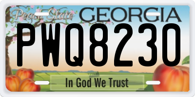 GA license plate PWQ8230