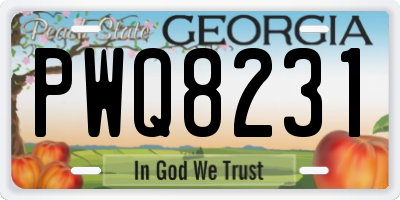 GA license plate PWQ8231