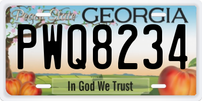 GA license plate PWQ8234