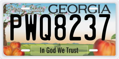 GA license plate PWQ8237