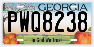 GA license plate PWQ8238