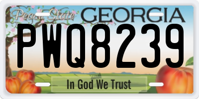 GA license plate PWQ8239