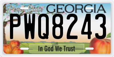 GA license plate PWQ8243