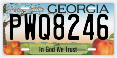 GA license plate PWQ8246