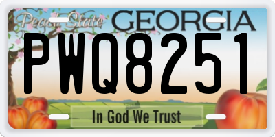 GA license plate PWQ8251