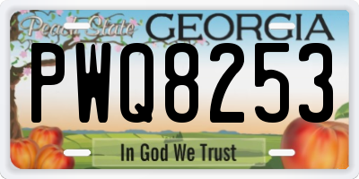 GA license plate PWQ8253