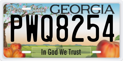 GA license plate PWQ8254