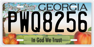 GA license plate PWQ8256