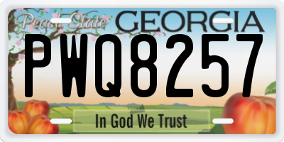 GA license plate PWQ8257