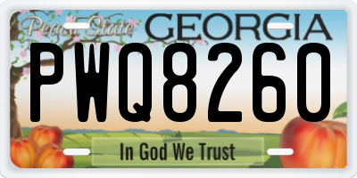 GA license plate PWQ8260