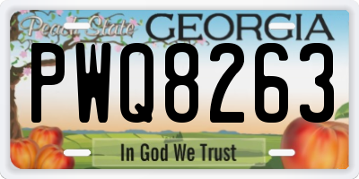 GA license plate PWQ8263